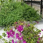 Berti`s Garden * Sarandë