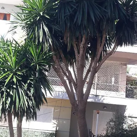 Daire Berti's Garden Saranda