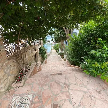 Daire Berti's Garden Saranda