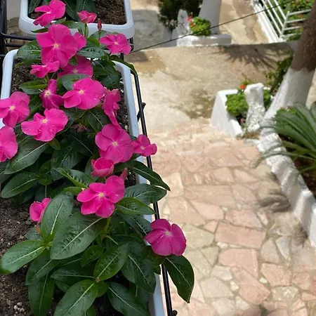 Berti's Garden * Саранда