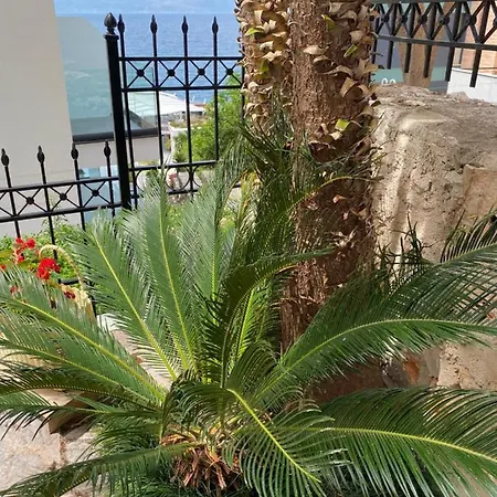 Апартаменты Berti's Garden *