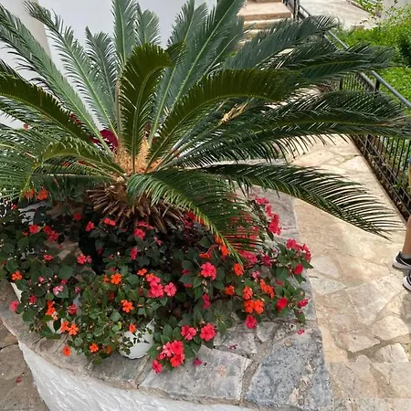 Berti's Garden Апартаменты Саранда