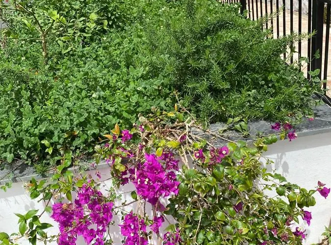 Berti's Garden * Saranda