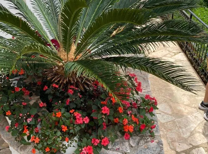 Berti's Garden Appartement Saranda